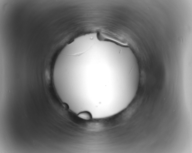 X0000088130358200706041953