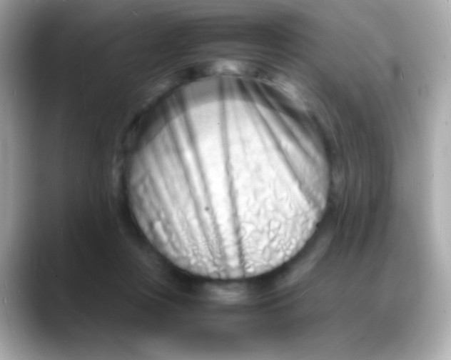 X0000088130359200706041953