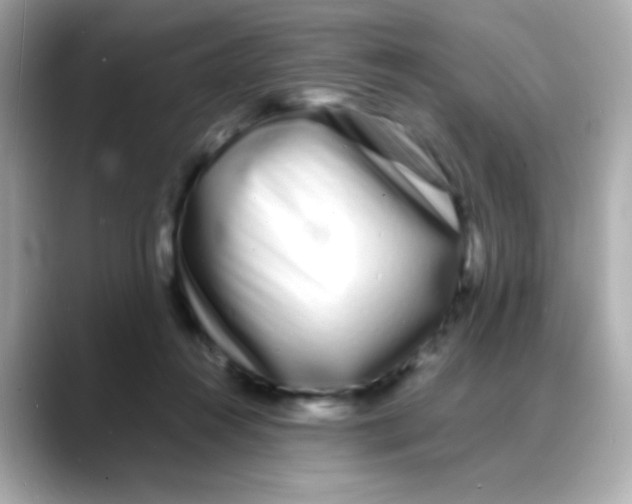 X0000088130360200706041953