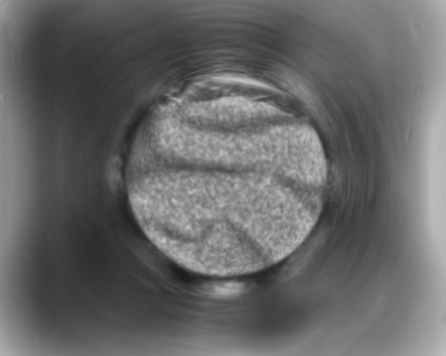 X0000088130361200706041953