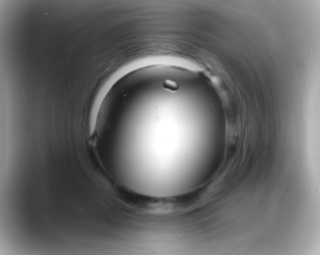 X0000088130362200706041953