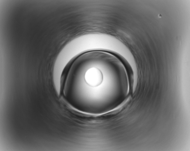 X0000088130364200706041953