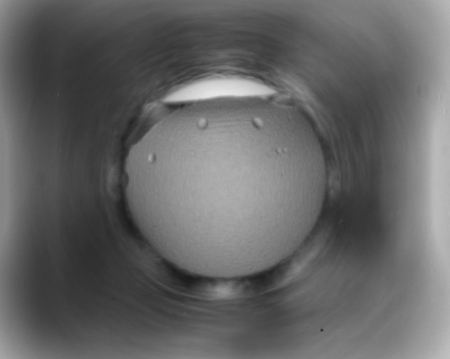 X0000088130365200706041953