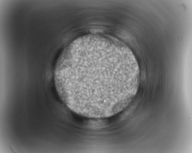 X0000088130367200706041953