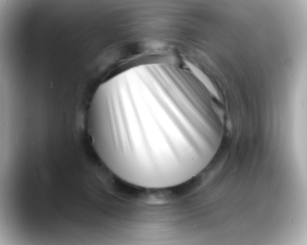 X0000088130368200706041953