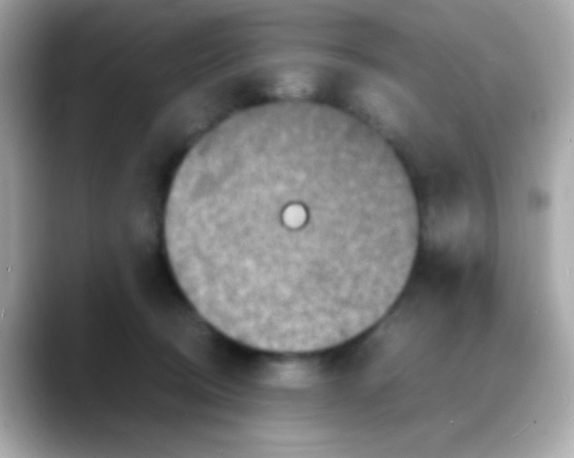 X0000088130370200706041953