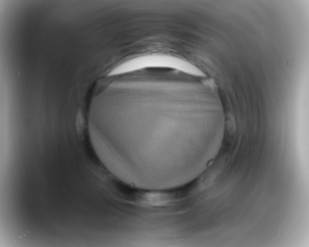 X0000088130371200706041953