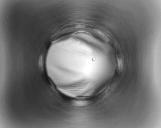 X0000088130372200706041953