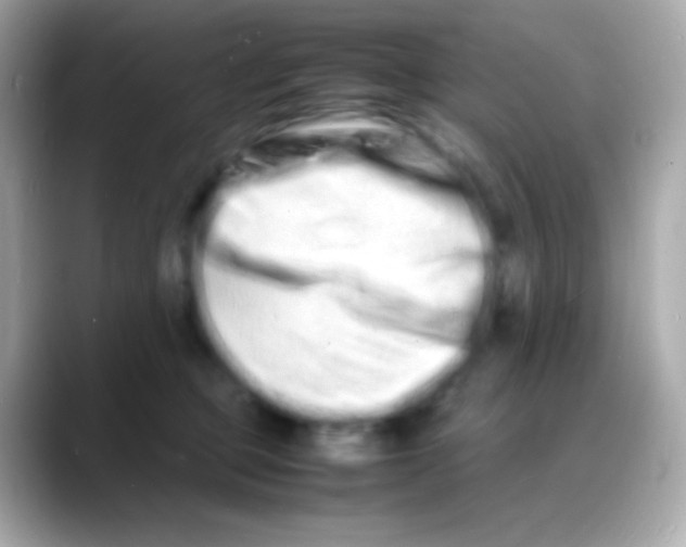 X0000088130373200706041953