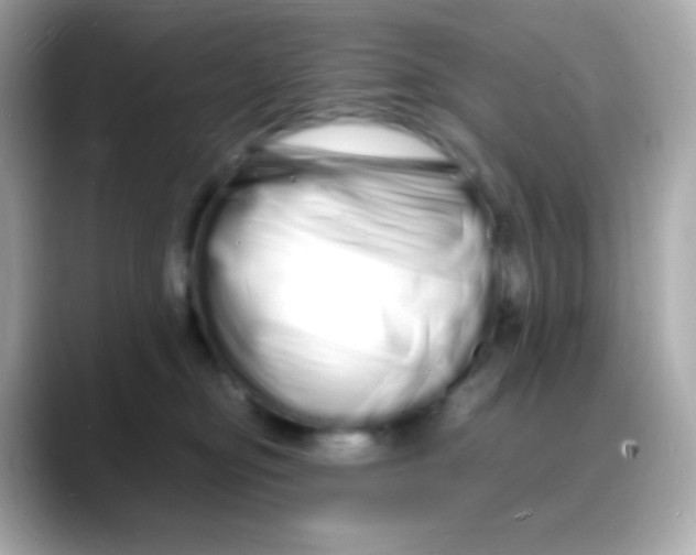 X0000088130374200706041953