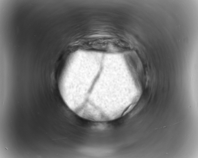 X0000088130377200706041953