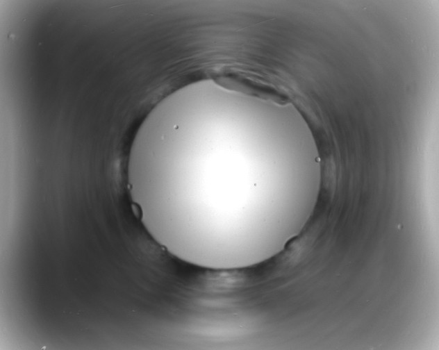 X0000088130378200706041953