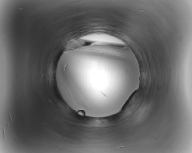 X0000088130379200706041953