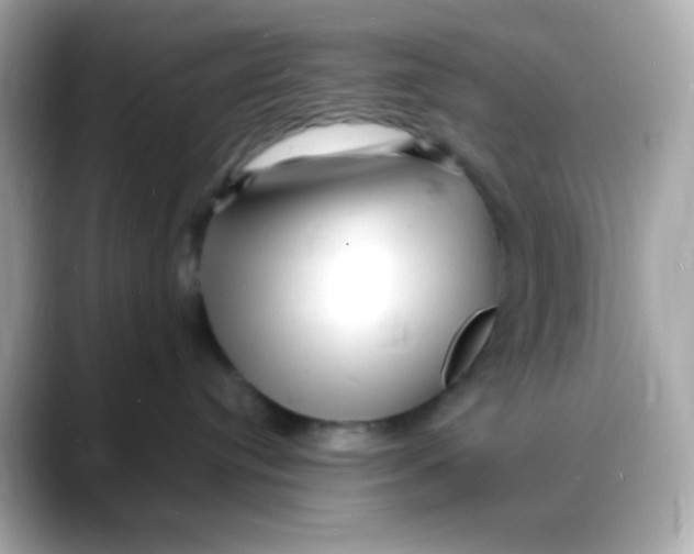 X0000088130384200706041953