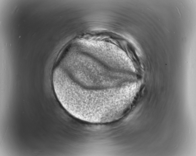 X0000088130385200706041953