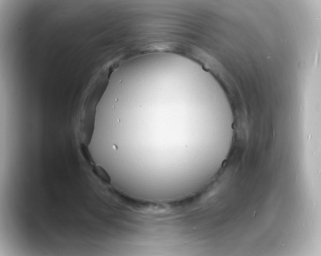 X0000088130386200706041953