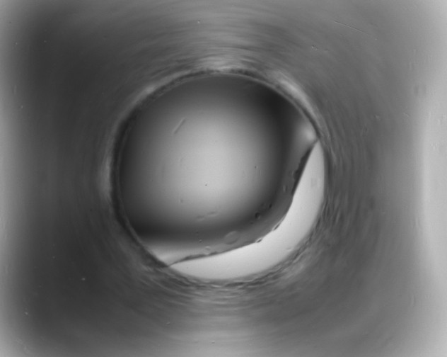 X0000088130387200706041953