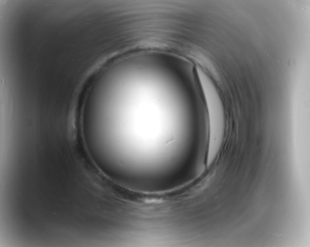 X0000088130388200706041953