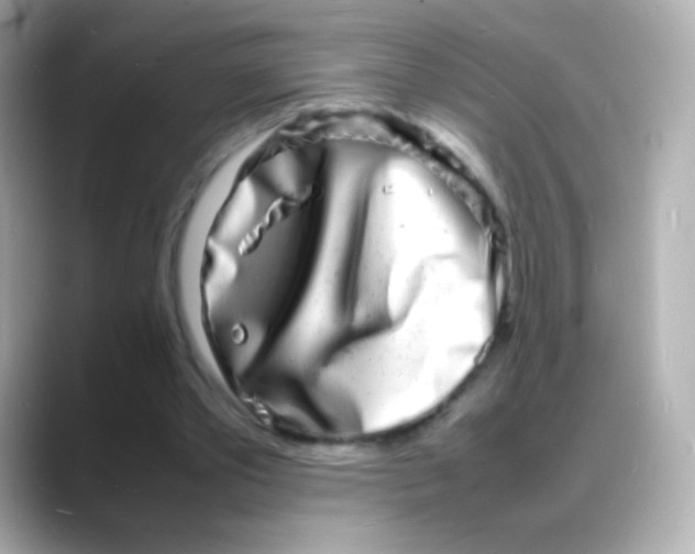 X0000088130389200706041953