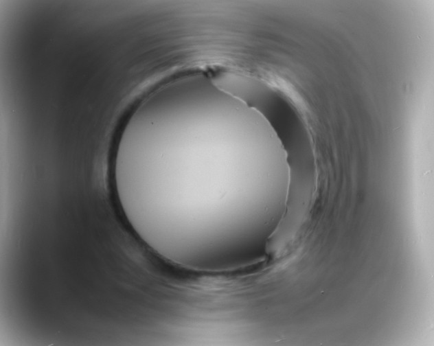 X0000088130391200706041953