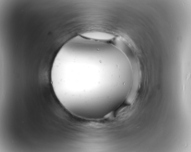 X0000088130393200706041953