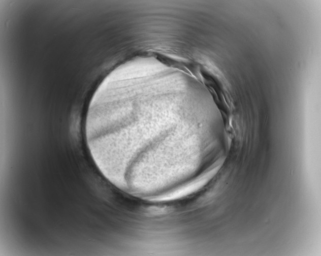 X0000088130394200706041953