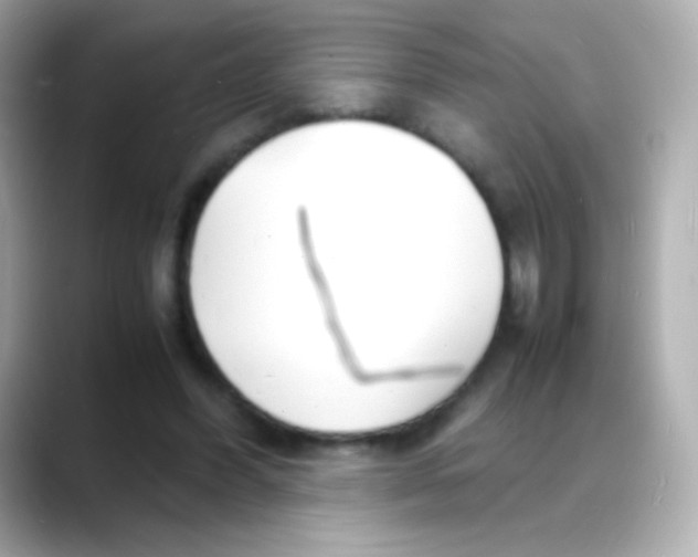 X0000088130396200706041953