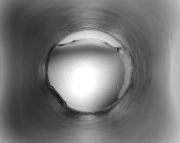 X0000088130397200706041953