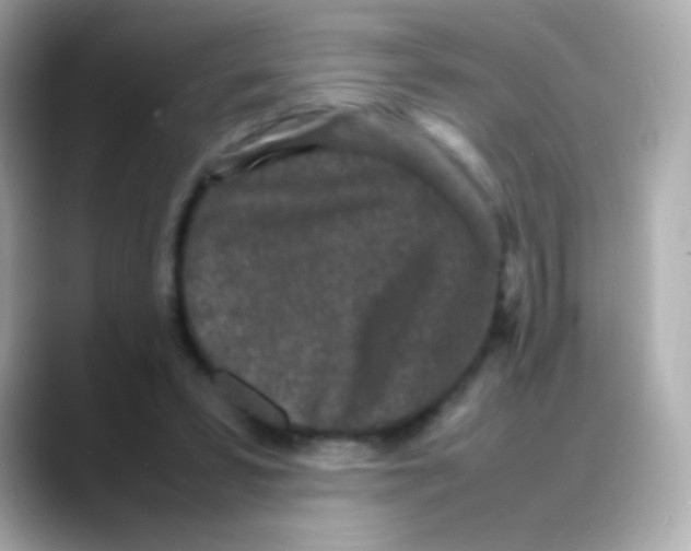 X0000088130399200706041953