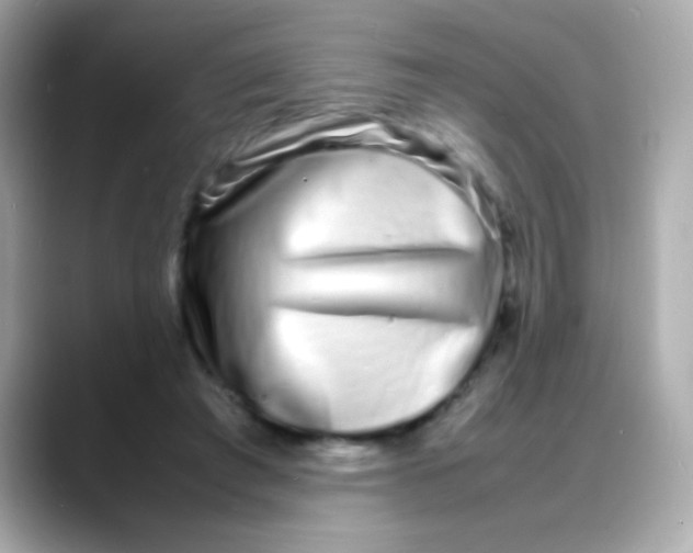 X0000088130401200706041953