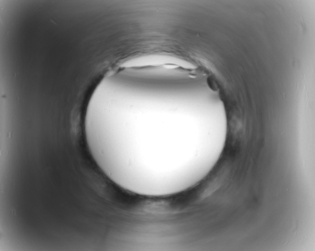 X0000088130403200706041953