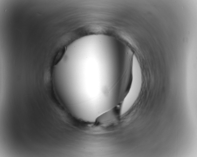 X0000088130407200706041953