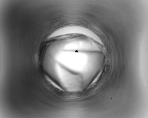 X0000088130409200706041953