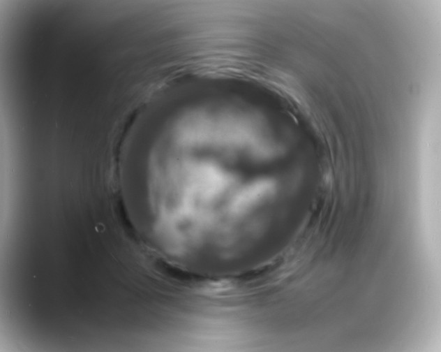 X0000088130411200706041953