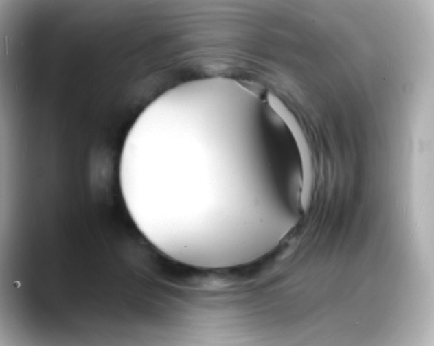 X0000088130412200706041952