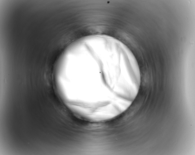 X0000088130414200706041952