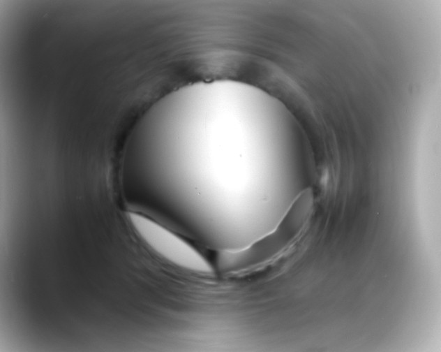 X0000088130416200706041952