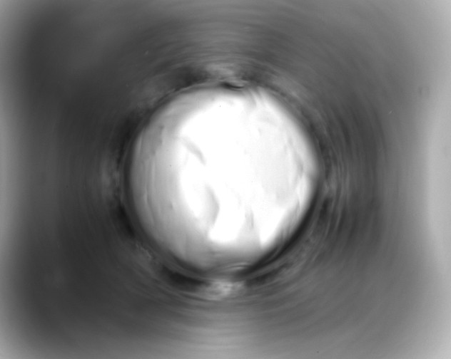 X0000088130418200706041952