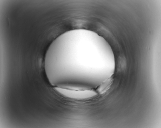 X0000088130420200706041952