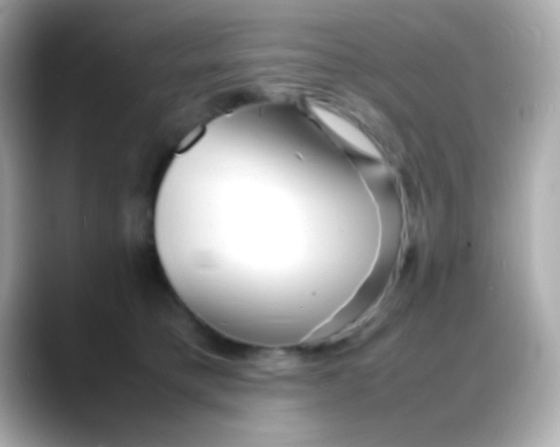 X0000088130421200706041952