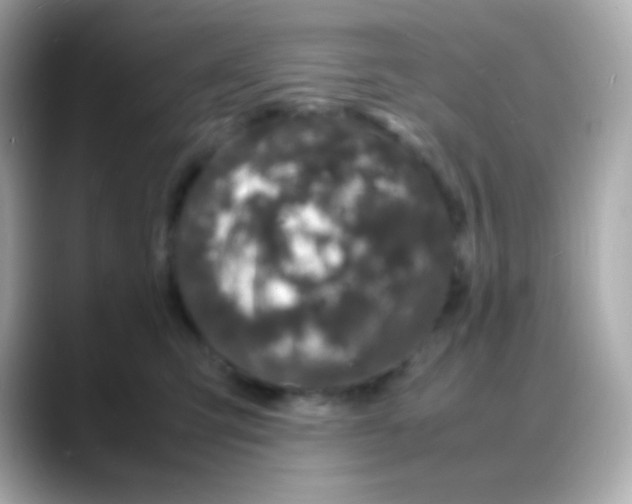 X0000088130423200706041952