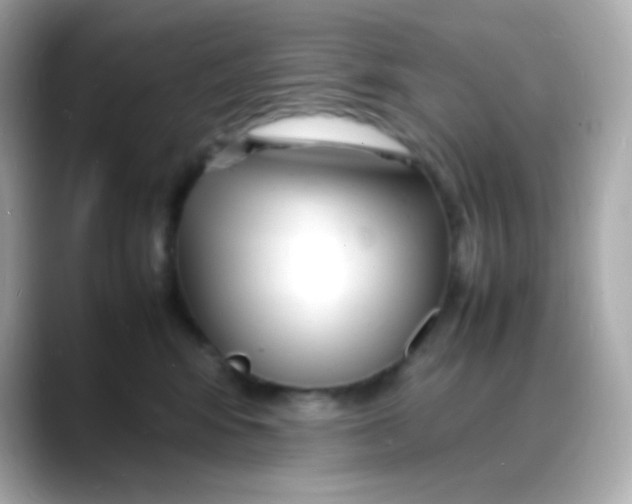 X0000088130424200706041952