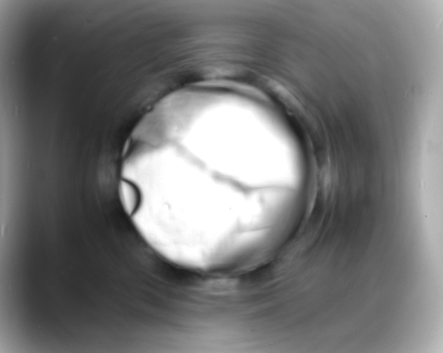 X0000088130426200706041952