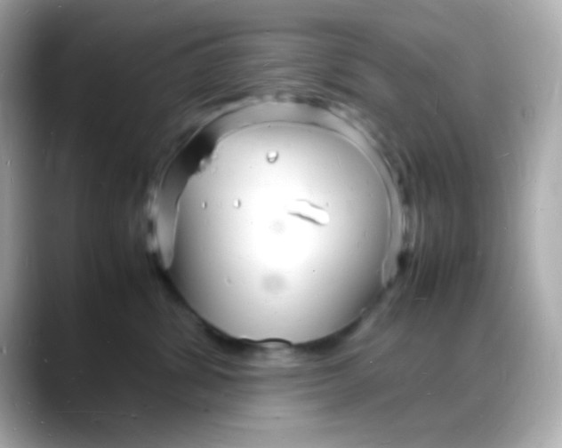 X0000088130428200706041952