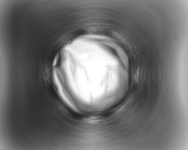 X0000088130430200706041952