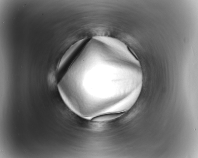 X0000088130432200706041952