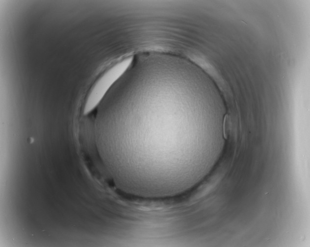 X0000088130434200706041952