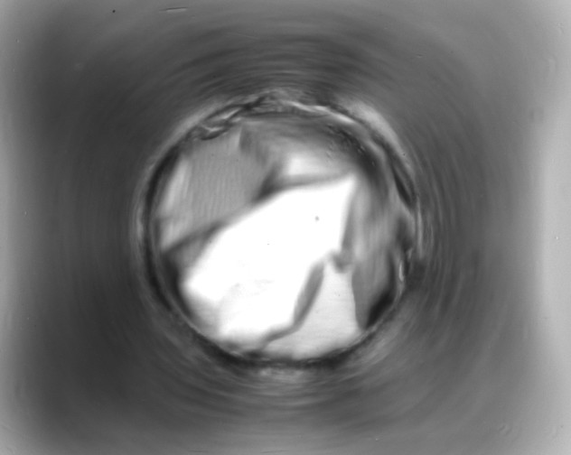 X0000088130435200706041952