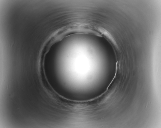 X0000088130436200706041952