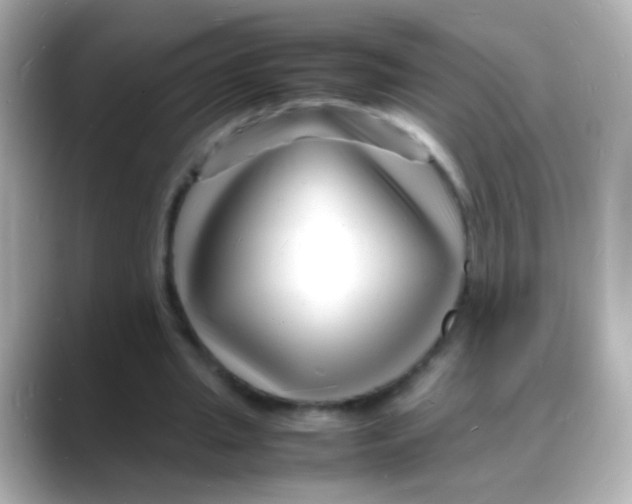 X0000088130437200706041952